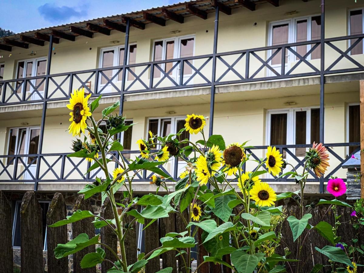 Гостевой дом Family Hotel Kala Местиа-24