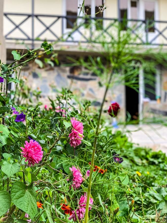 Гостевой дом Family Hotel Kala Местиа-26